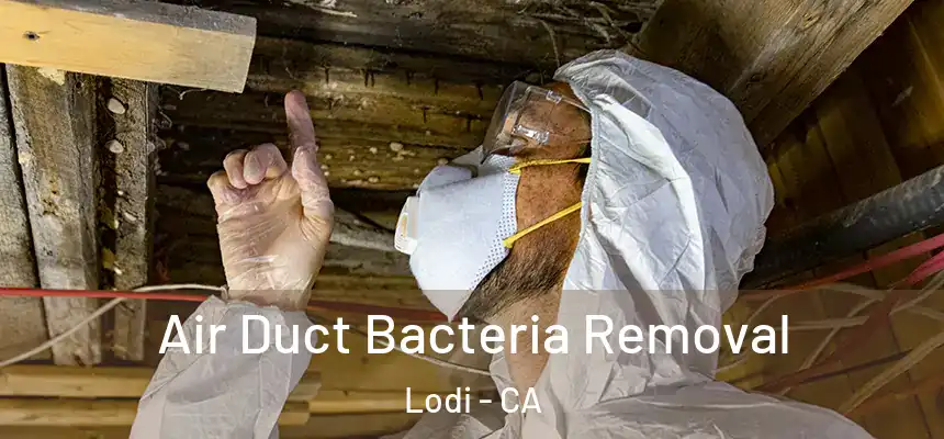  Air Duct Bacteria Removal Lodi - CA