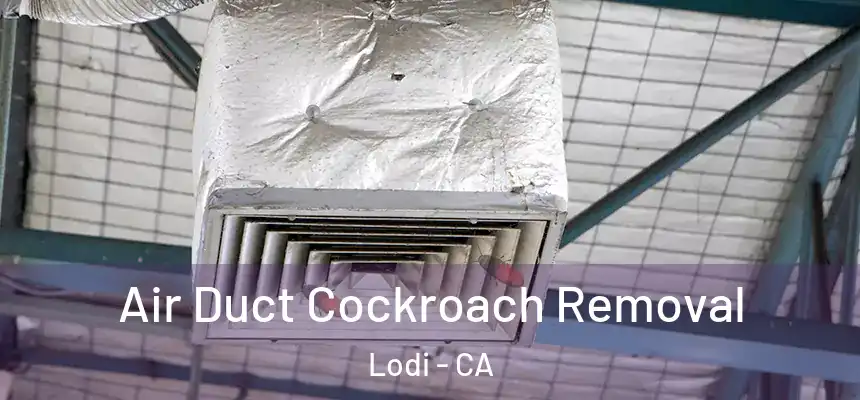 Air Duct Cockroach Removal Lodi - CA