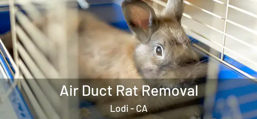  Air Duct Rat Removal Lodi - CA