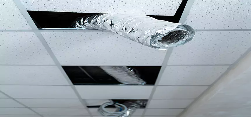 Our Air Duct Pet Hair Removal Services in Lodi, CA