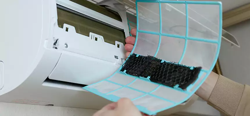 Gentle Ductwork Odor-Control Pet Dander Duct Cleaning in Lodi, CA