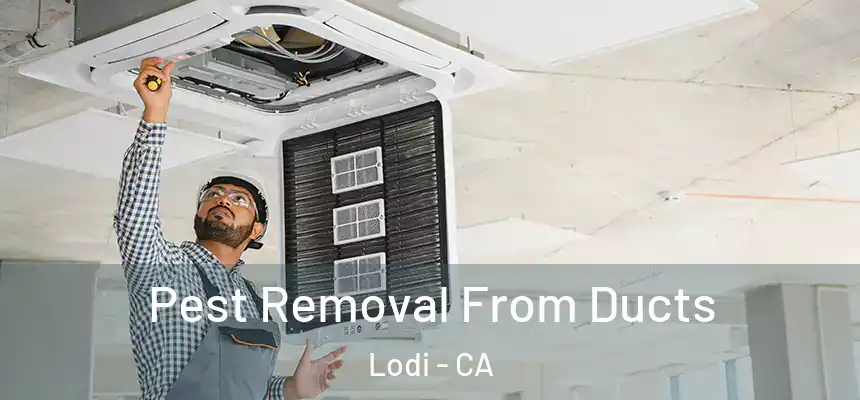 Pest Removal From Ducts Lodi - CA