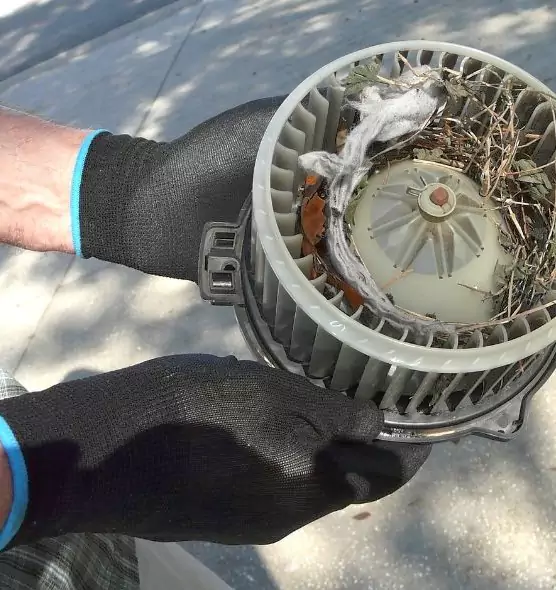 About Air Duct Mice Removal in Lodi, CA