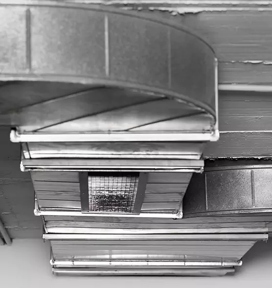 Professional Air Duct Pest Removal in Lodi, CA