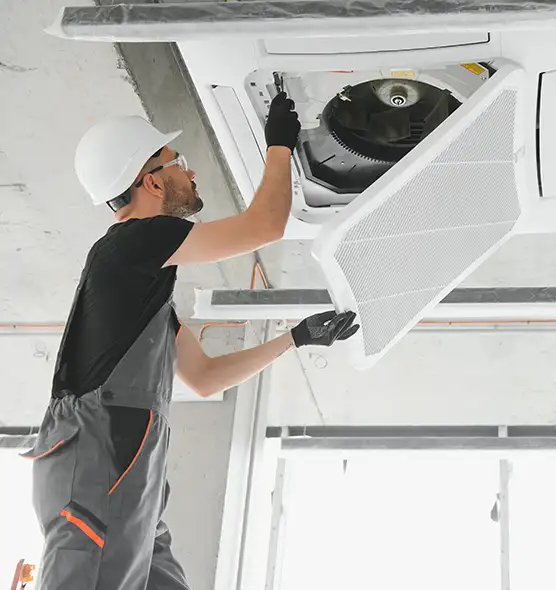 About Air Duct Rodent Removal in Lodi, CA