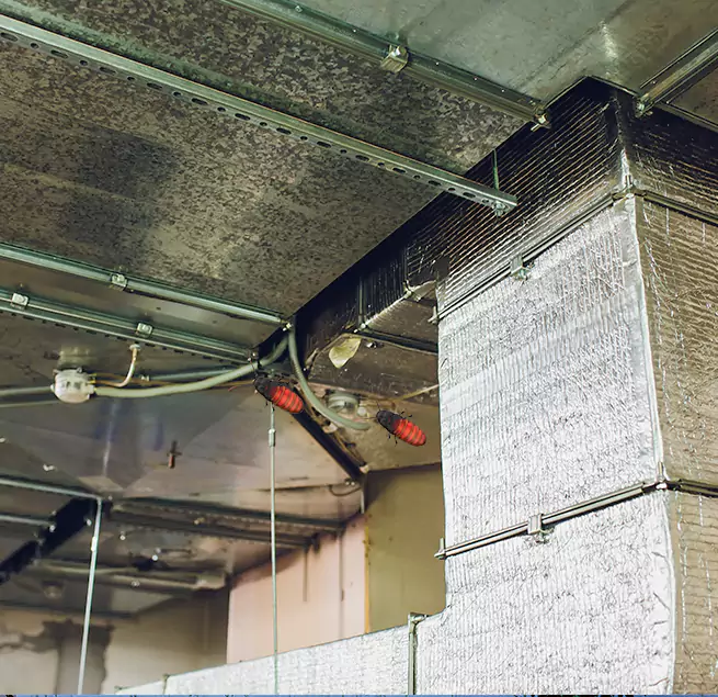 Why Homeowners & Businesses Trust Us in Lodi, CA?