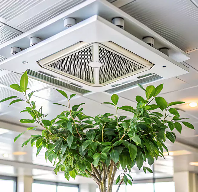 Why Homeowners & Businesses Trust Us in Lodi, CA?