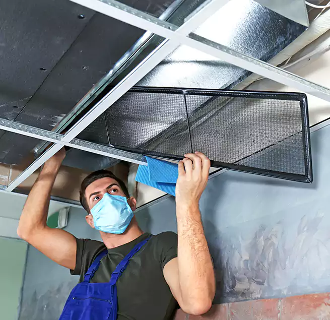 Why Homeowners Businesses Trust Us in Lodi, CA